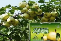 殼寡糖在農業領域的研究